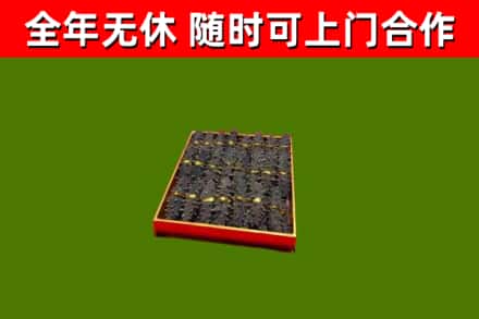 云龙回收海参